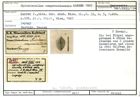 Karteikarte zum Syntyp von Spiroloculina compressiuscula Karrer, 1867